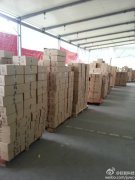 雙十一巨沃與百麗在一起